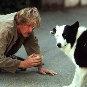 Bilder Zoff in Beverly Hills