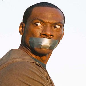 Bilder Noch tausend Worte