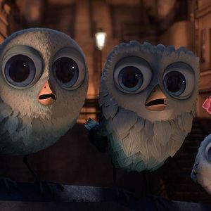 Bilder Sam O'Cool - Ein schräger Vogel hebt ab