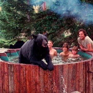 Bilder Noch mehr Abenteuer der Familie Robinson in der Wildnis