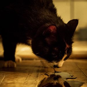 Bilder Das ewige Leben