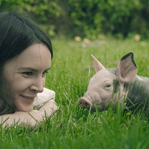 Bilder Rosalie Wolff