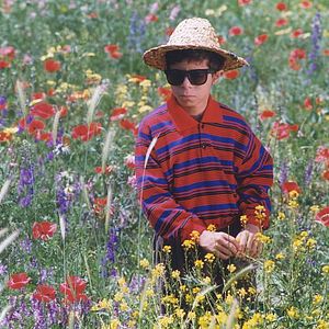 Bilder Die Farben des Paradieses