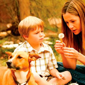Bilder Wie ein Staubkorn im Wind