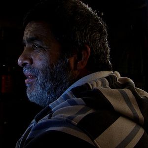 Bilder Spartacus & Cassandra