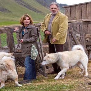 Bilder Island - Herzen im Eis