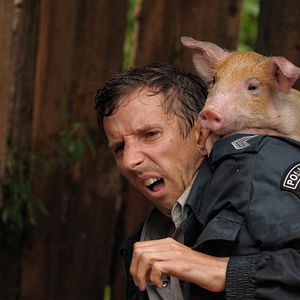 Bilder What the Fuck heißt REDIRECTED