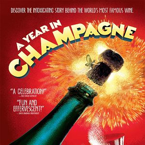 Bilder A Year in Champagne