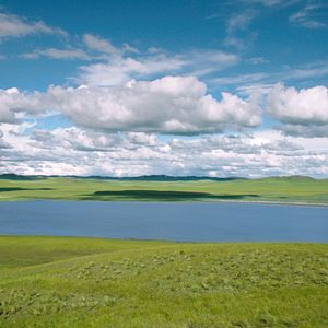 Bilder Der letzte Wolf