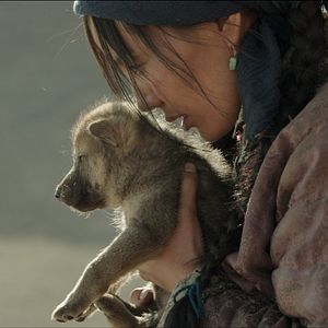 Bilder Der letzte Wolf