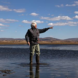 Bilder Der letzte Wolf