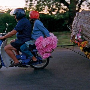 Bilder Pepe Mujica - Der Präsident