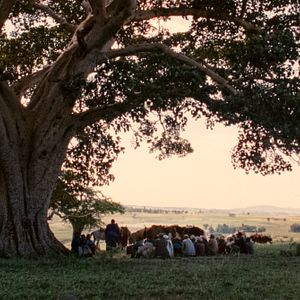 Bilder Das Mädchen Hirut
