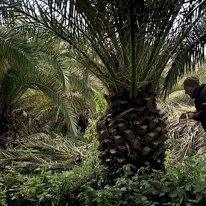 Bilder Das andere Rom - Sacro Gra