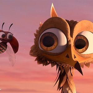 Bilder Sam O'Cool - Ein schräger Vogel hebt ab