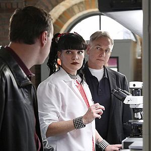 Bilder Pauley Perrette