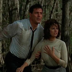 Bilder New York Express