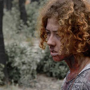 Bilder Exists - Die Bigfoot-Legende lebt!