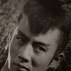 Bilder Raizô Ichikawa