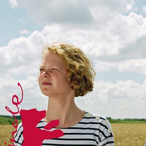 Bilder Confetti Harvest