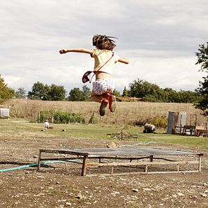 Bilder Land der Wunder