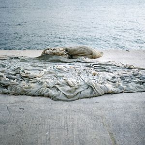 Bilder Les Messagers