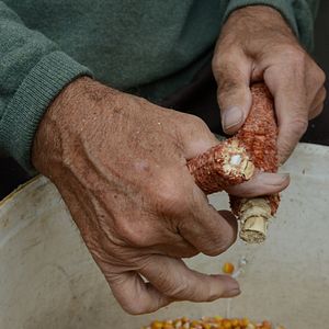 Bilder Arbeit macht das Leben süß, Faulheit stärkt die Glieder