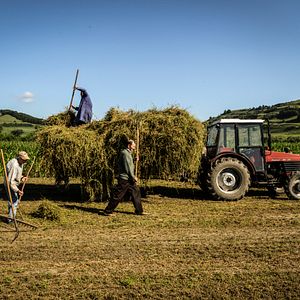 Bilder Arbeit macht das Leben süß, Faulheit stärkt die Glieder