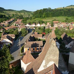 Bilder Arbeit macht das Leben süß, Faulheit stärkt die Glieder
