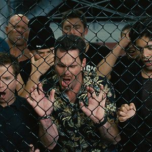 Bilder Adrian Grenier