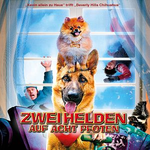 Bilder Zwei Helden auf acht Pfoten