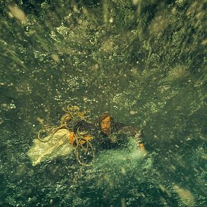 Bilder Im Herzen der See