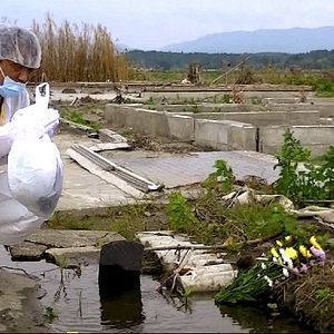 Bilder Nuclear Nation II