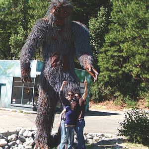 Bilder The Bigfoot Tapes