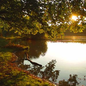 Bilder Compostelle, le chemin de la vie