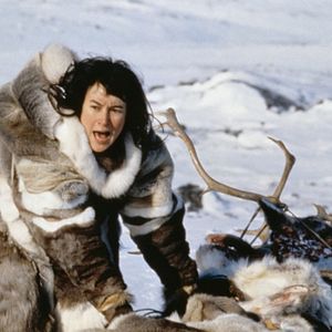 Bilder Der Schatten des Wolfes