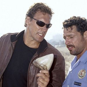 Bilder Hai-Alarm auf Mallorca