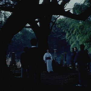 Bilder Die Zeremonie