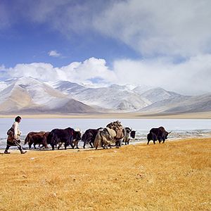 Bilder Enfances Nomades