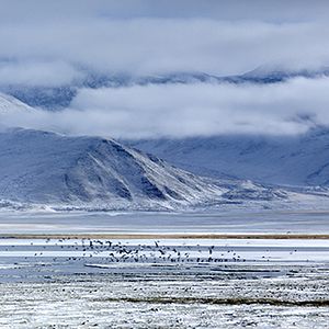 Bilder Enfances Nomades