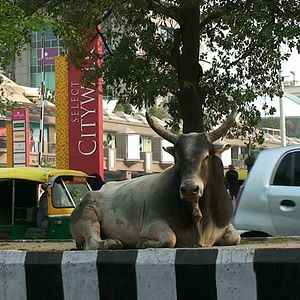 Bilder En quête de sens