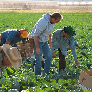 Bilder Kevin Costner