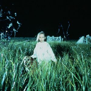 Bilder Die Vögel II - Die Rückkehr