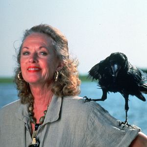 Bilder Die Vögel II - Die Rückkehr