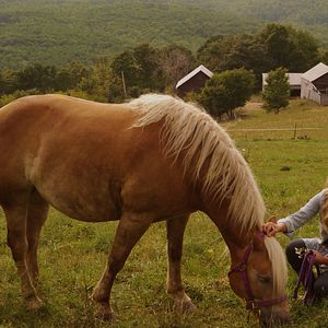 Bilder Welcome to Happy Valley