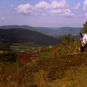 Bilder Welcome to Happy Valley