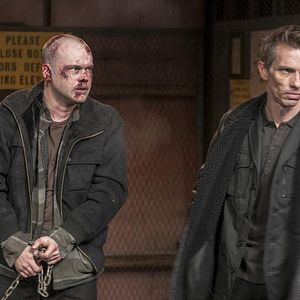 Bilder Stephen Louis Grush