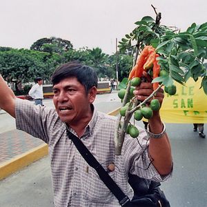 Bilder Tambogrande: Eine Geschichte von Mangos und Bergbau