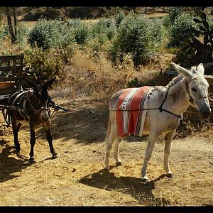 Bilder La luz con el tiempo dentro