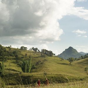 Bilder Goldenes Königreich